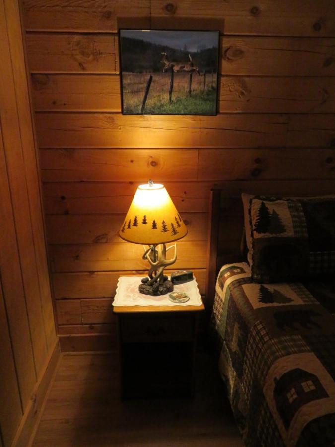 Misty Creek Log Cabins Maggie Valley Ngoại thất bức ảnh